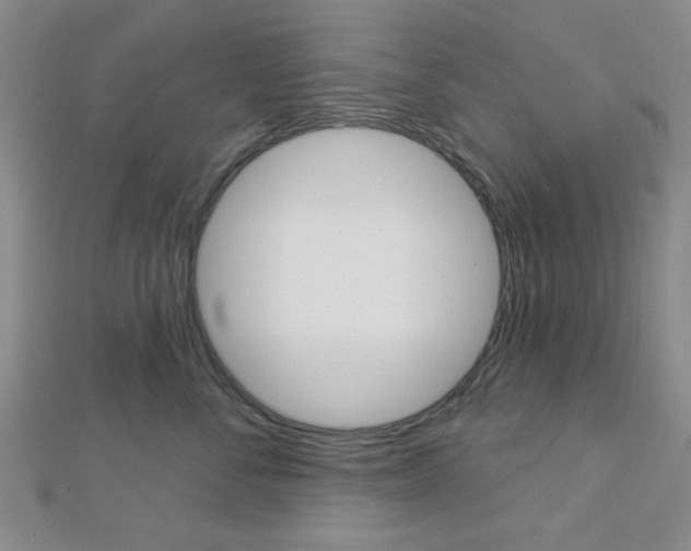 X0000112910716200908241008