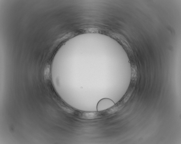 X0000112910717200908241008