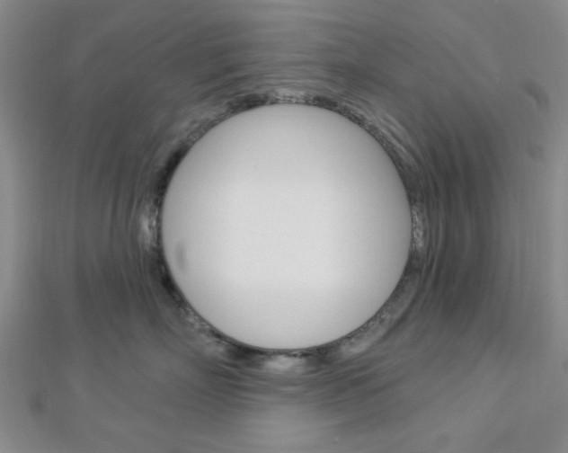X0000112910718200908241008