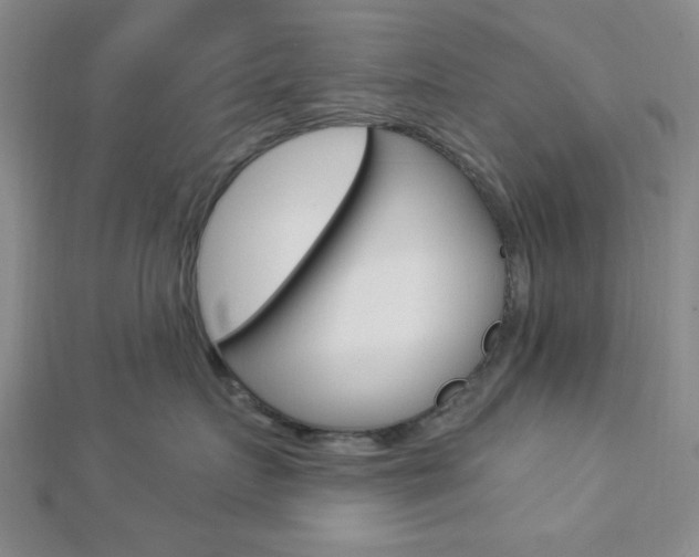 X0000112910719200908241008