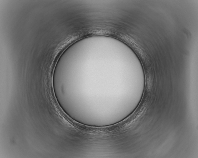 X0000112910721200908241007