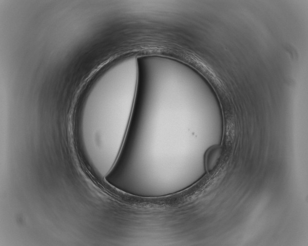 X0000112910722200908241007