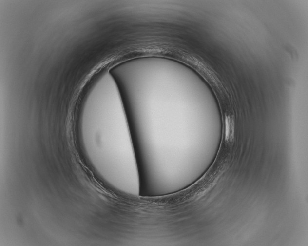 X0000112910723200908241007