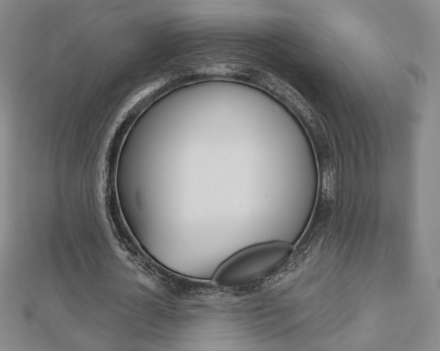 X0000112910724200908241007