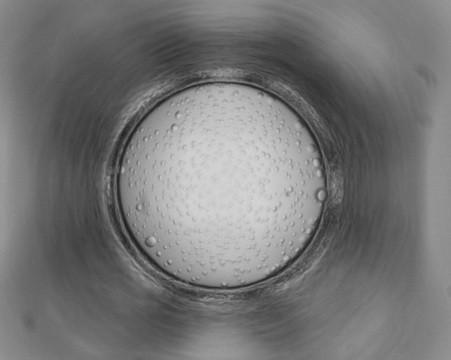 X0000112910725200908241007