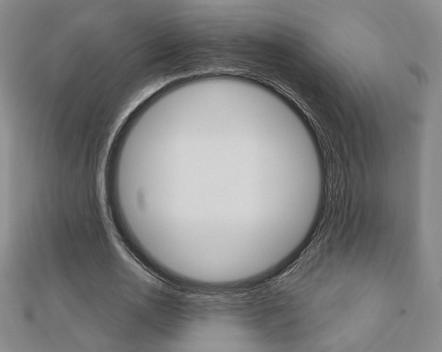 X0000112910726200908241007