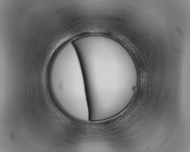 X0000112910727200908241007
