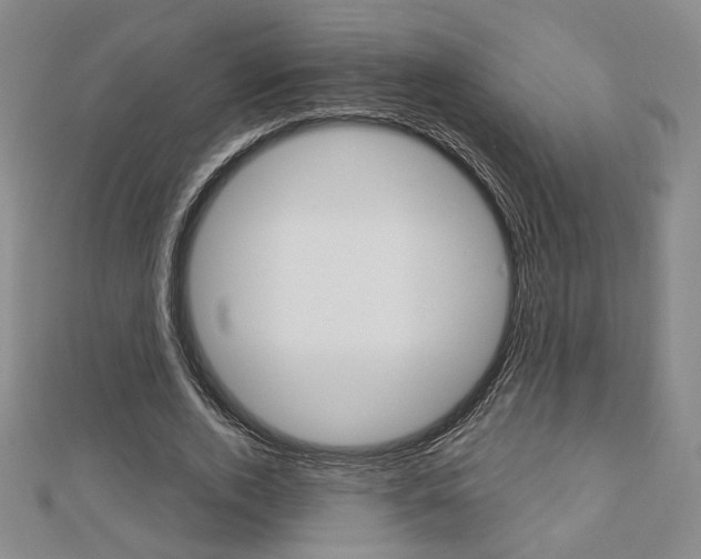 X0000112910728200908241007