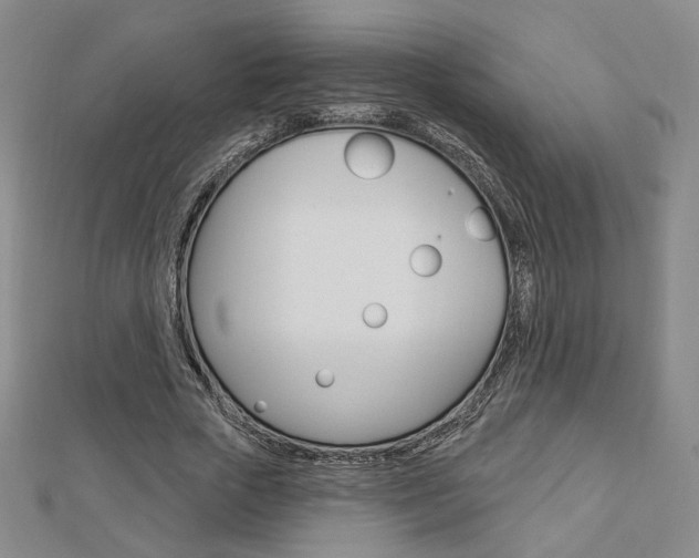X0000112910729200908241007
