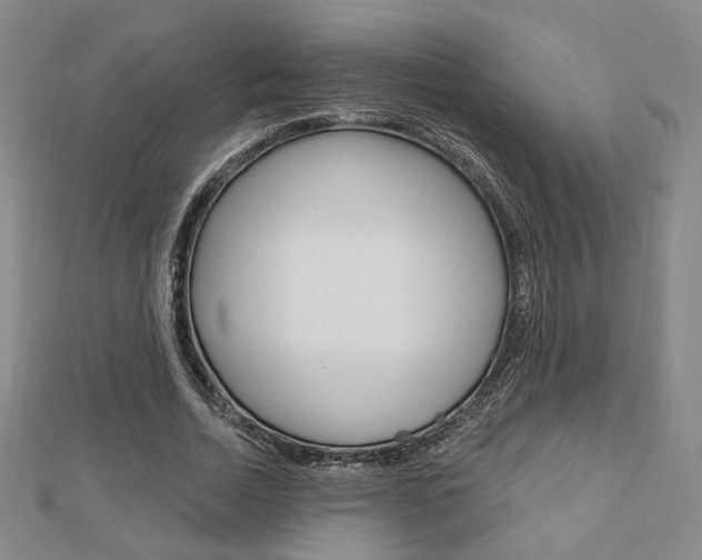 X0000112910730200908241007