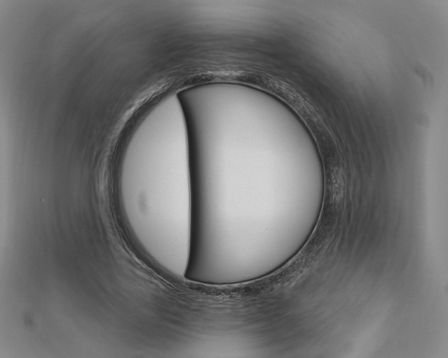 X0000112910731200908241007