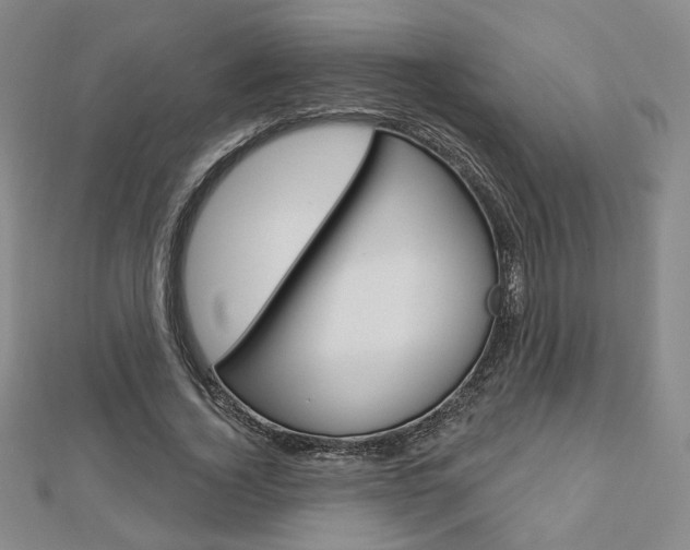 X0000112910732200908241007