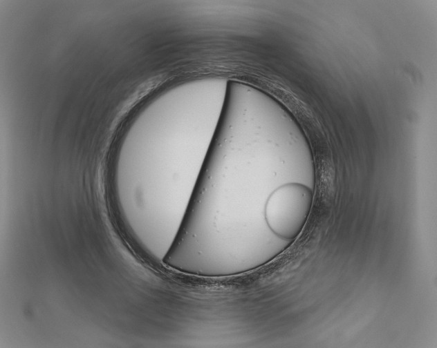 X0000112910734200908241007