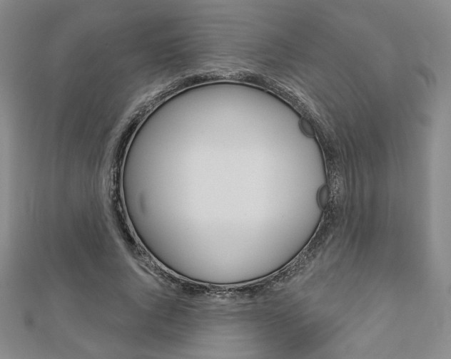 X0000112910736200908241007