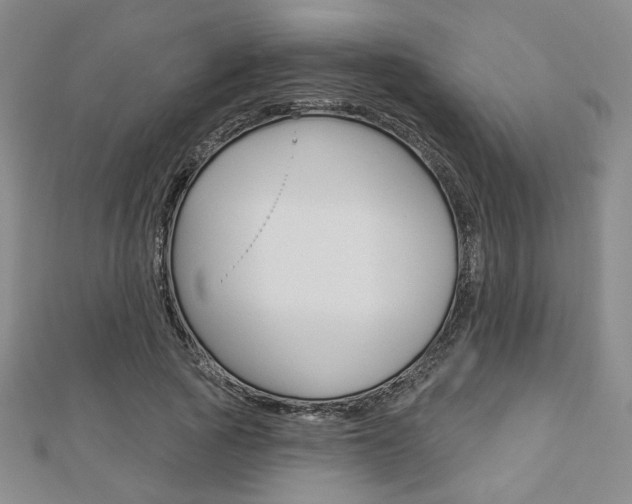 X0000112910737200908241007