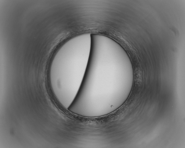 X0000112910738200908241007