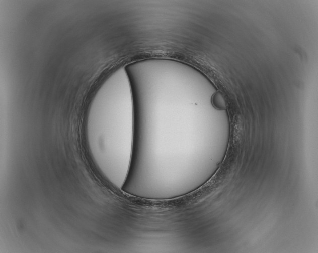 X0000112910739200908241007