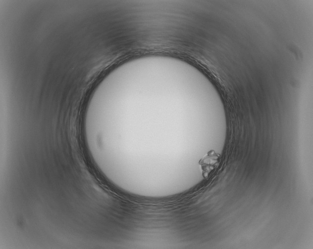 X0000112910740200908241007