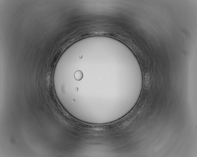 X0000112910741200908241007