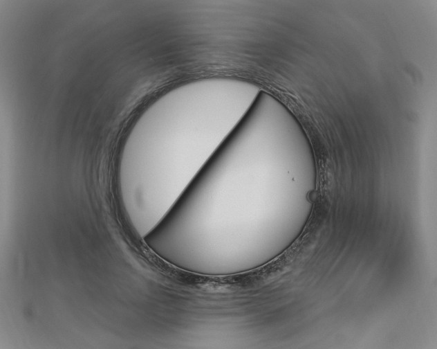 X0000112910742200908241007