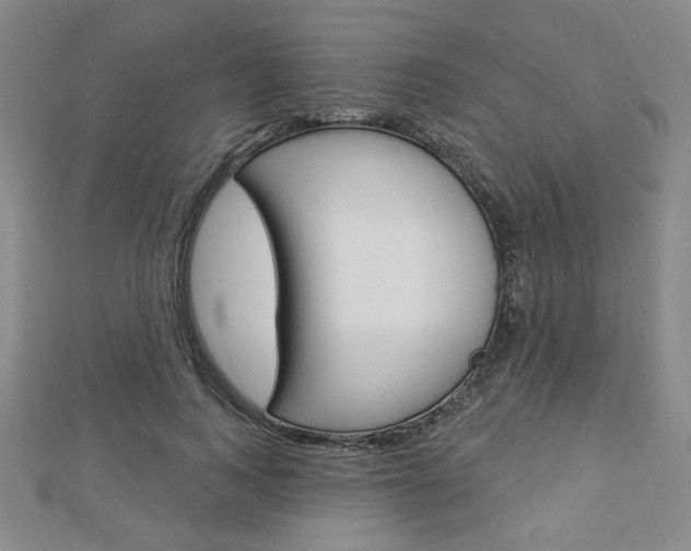 X0000112910743200908241007