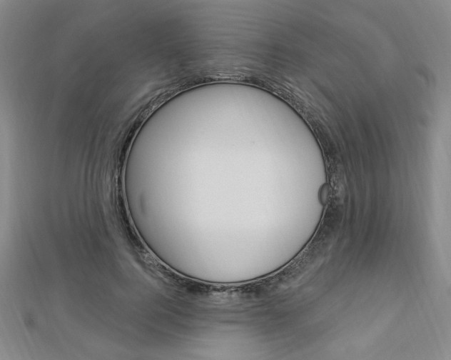 X0000112910744200908241007