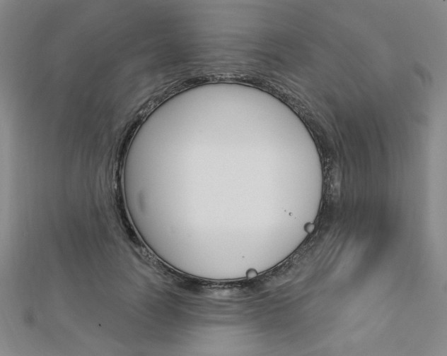 X0000112910746200908241007