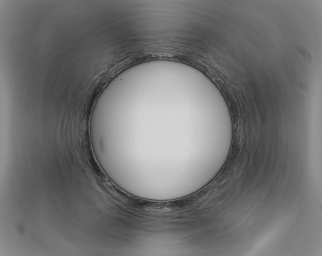 X0000112910747200908241007