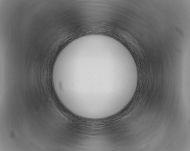 X0000112910748200908241007