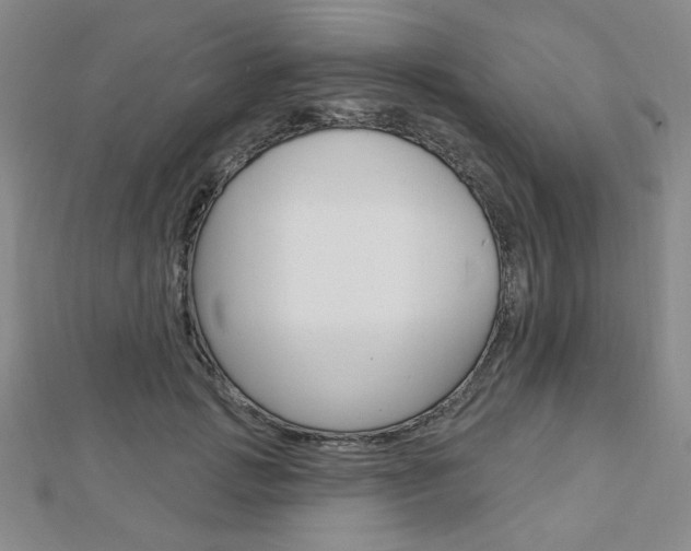 X0000112910749200908241007