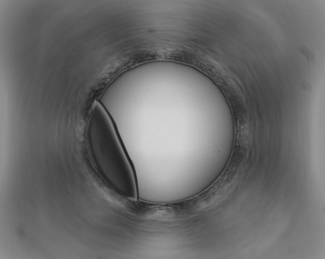 X0000112910750200908241008