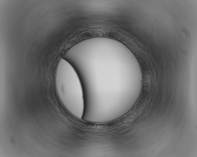 X0000112910751200908241008