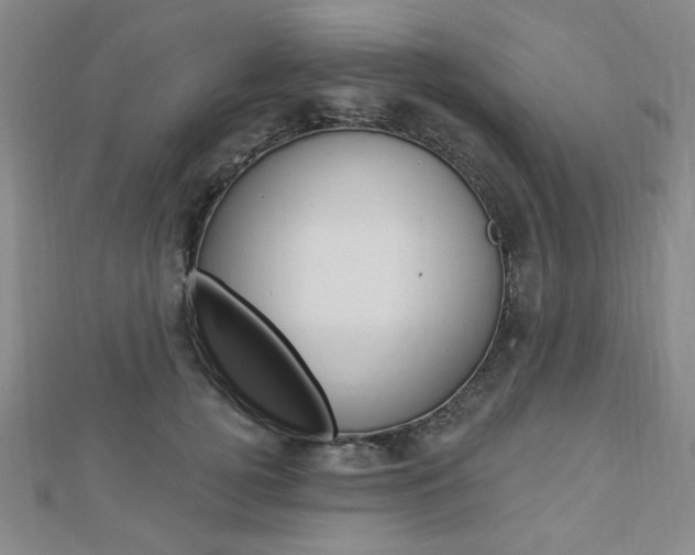 X0000112910752200908241008