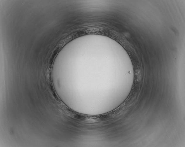 X0000112910753200908241008