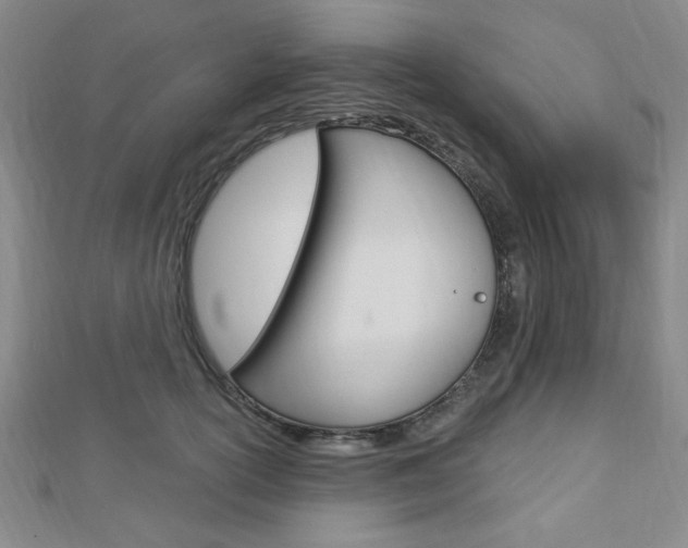 X0000112910754200908241008