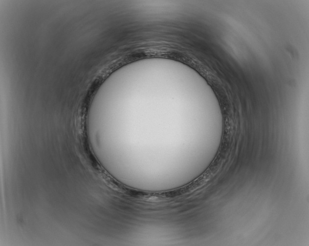 X0000112910755200908241008