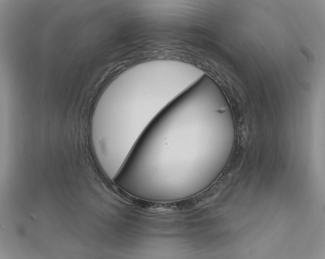 X0000112910756200908241008