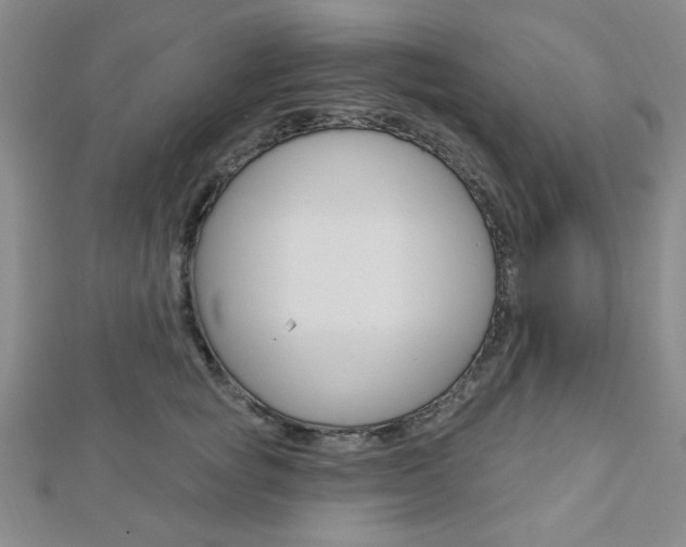 X0000112910757200908241008