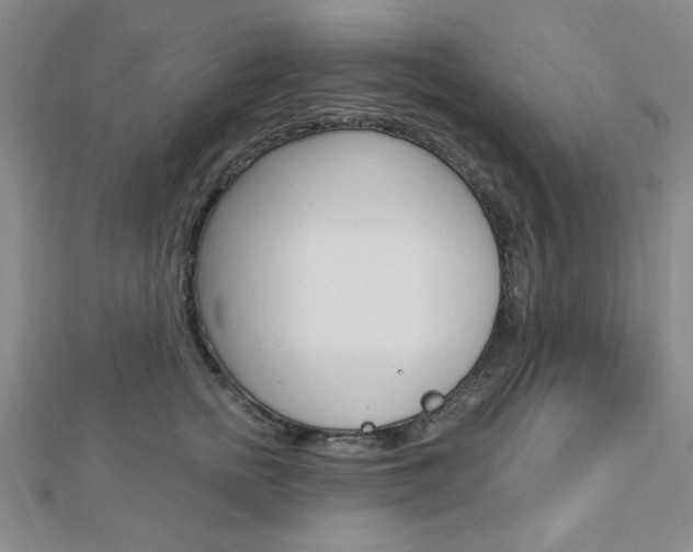 X0000112910758200908241008