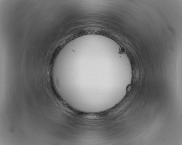 X0000112910759200908241008