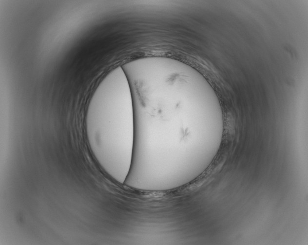 X0000112910761200908241008