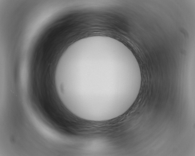 X0000112910764200908241008