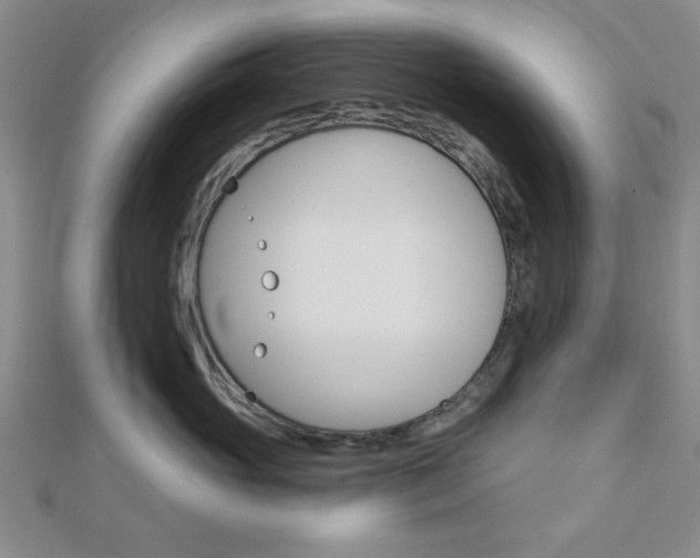 X0000112910765200908241008