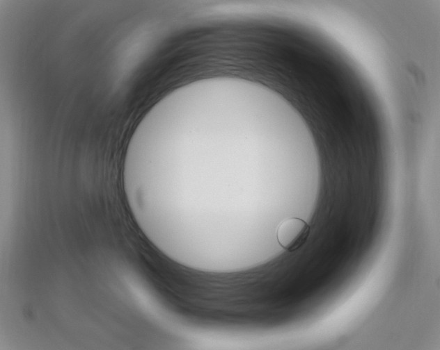 X0000112910766200908241008