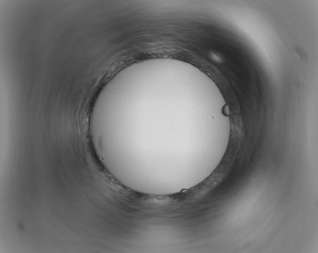 X0000112910767200908241008