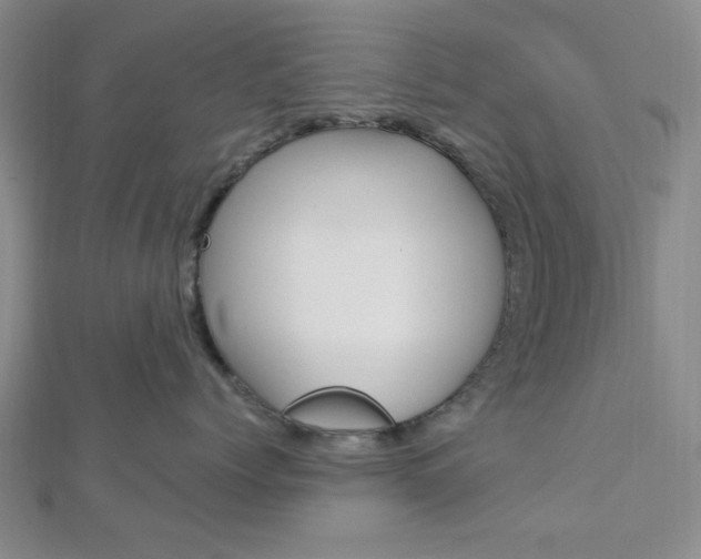 X0000112910768200908241008