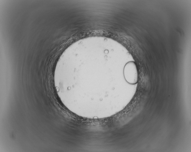 X0000112910769200908241007