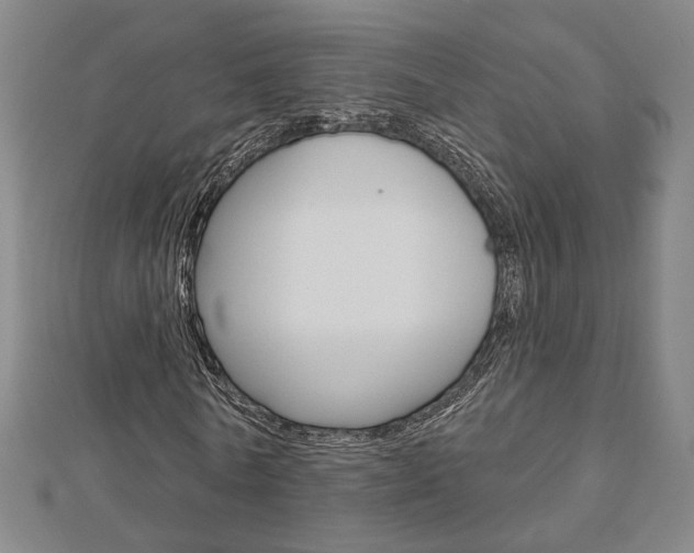 X0000112910770200908241007