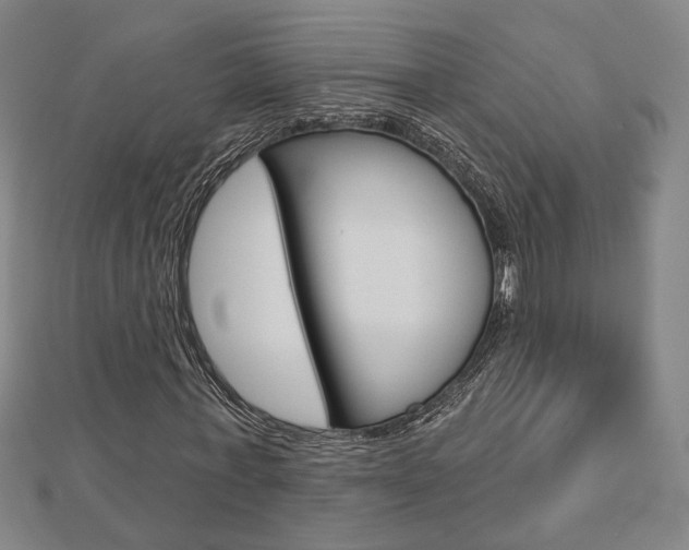 X0000112910771200908241007