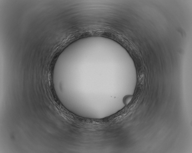X0000112910772200908241007